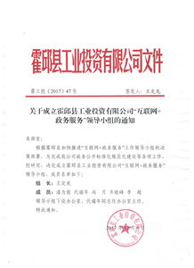 霍邱縣工業(yè)投資與互聯(lián)網(wǎng)數(shù)據(jù)服務(wù)領(lǐng)導(dǎo)小組的成立通知
